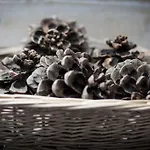 Nyaraló Le Reve D'elise *