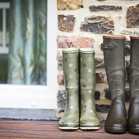 Le Reve D'elise Стумон