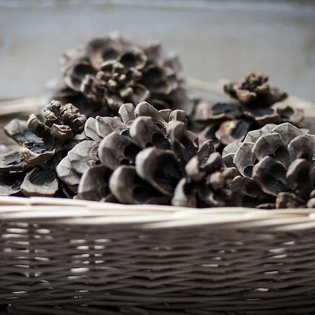 Vakantiehuis Le Reve D'elise *